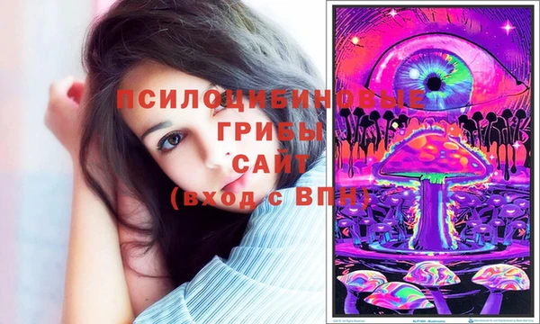 индика Верхнеуральск